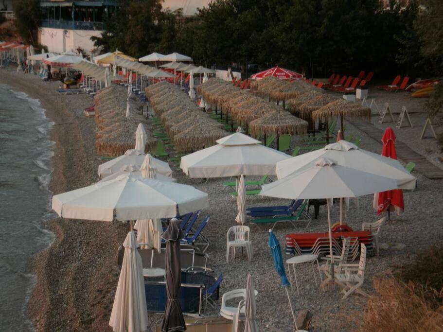 Selfcatering -Studio Helen No 7 زيروبيغادو المظهر الخارجي الصورة