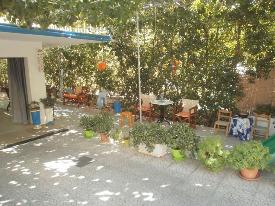 Selfcatering -Studio Helen No 7 زيروبيغادو المظهر الخارجي الصورة