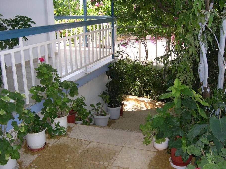 Selfcatering -Studio Helen No 7 زيروبيغادو المظهر الخارجي الصورة